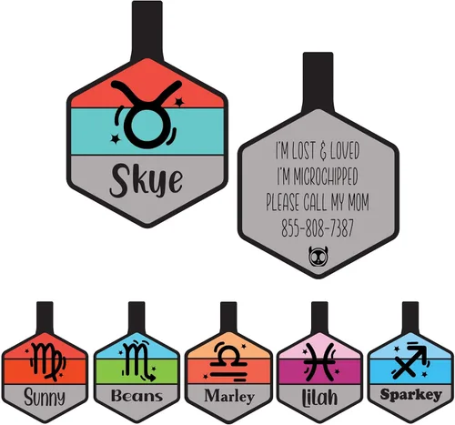 Vista 13 de Placa silenciosa para perro personalizada con 5 líneas de identificación de mascotas de silicona duradera y grabada profundamente, hexágono, azul