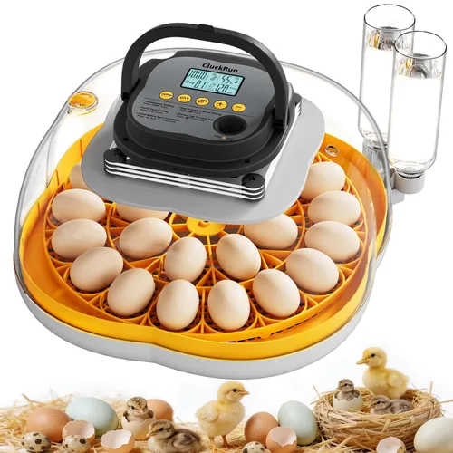 Vista 10 de Incubadora de 12 huevos con pantalla de temperatura y humedad, giro automático de huevos, vela de huevos, recarga automática de agua, para huevos