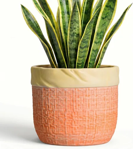 Vista 19 de Macetas de cerámica para plantas, maceta de 6 pulgadas para plantas suculentas de interior, macetas redondas con orificio de drenaje, macetas Azul