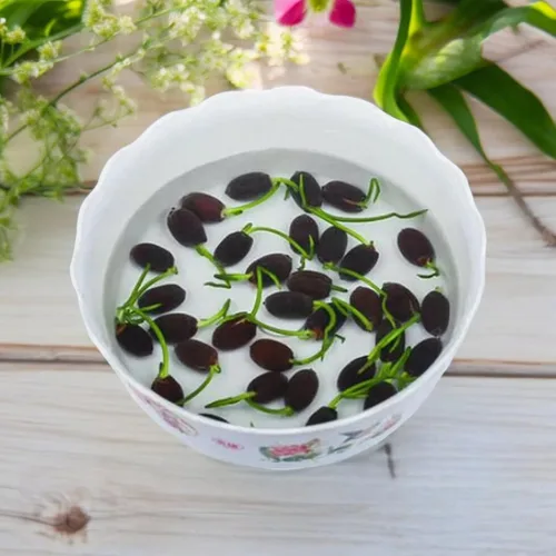 Vista 3 de 12 piezas de semillas de loto de colores mixtos rosa, rojo y verde para plantar hermosas plantas acuáticas para bonsáis de interior, estanques al