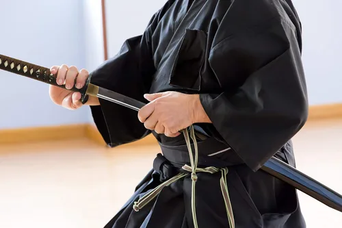 Vista 6 de HMS Samurai Katana Sword, Practical, Hand Forged, 1045 Carbon Steel, Heat Tempered/Clay Tempered, Full Tang, Sharp, Scabbard Katana 842