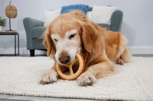 Vista 7 de Hartz Chew 'n Clean - Juguete masticable y trate en un anillo con sabor a pollo, para perro, mediano RING