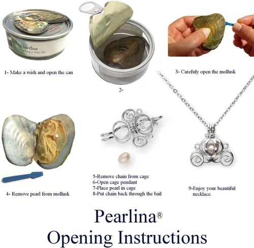 Vista 3 de Pearlina Collar de perlas de carruaje princesa para mujer - Real perla cultivada de agua dulce en conjunto de ostras - Collar de perlas para mujer