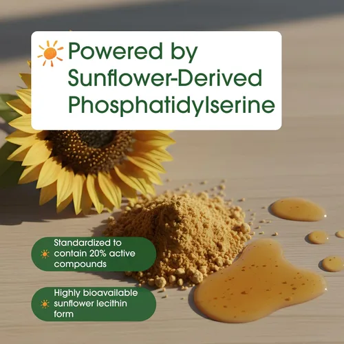 Vista 6 de Suplemento de Fosfatidilserina Ultra Fuerza 500mg Por Porción, 240 Cápsulas Sin Soja, Derivado de Lecitina de Girasol – Apoya la Salud Cognitiva