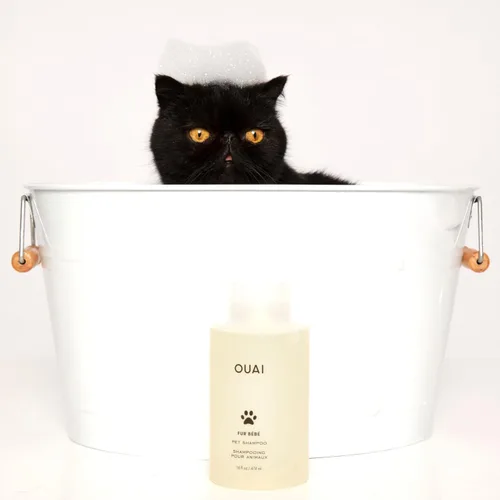 Vista 7 de Ouai Fur Bébé Champú para mascotas, aroma Mercer Street - Champú para perros y lavado para el pelaje que hidrata, limpia y añade brillo - Artículos