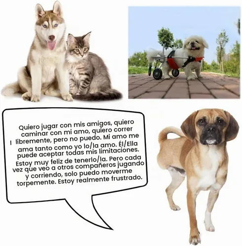 Vista 5 de Silla de ruedas ajustable para perros, sillas de ruedas ligeras para mascotas y perros para patas traseras ayudan a mascotas pequeñas