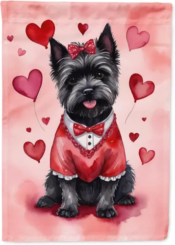 Vista 149 de Caroline's Treasures DAC5252GF Affenpinscher - Bandera de jardín con texto en inglés "My Valentine", bandera decorativa para patio exterior, patio