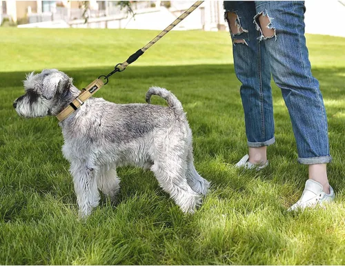 Vista 5 de haapaw Martingale - Collar de perro con hebilla de liberación rápida reflectante para perros pequeños, medianos y grandes