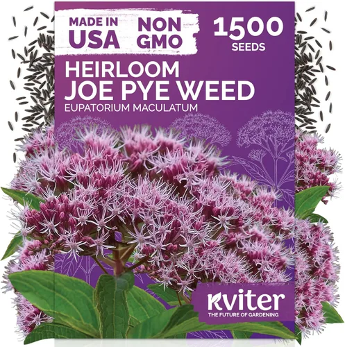Vista 19 de KVITER 15,000 semillas de rosa musgo mixta para plantar (Portulaca grandiflora) – Cubierta de suelo con floración de reliquia, semilla de Portulaca