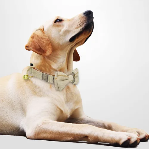 Vista 2 de Paquete de 2 collares de perro con corbatín y campanas, ajustable lindo collar de corbatín para perros pequeños, medianos y grandes, mascotas