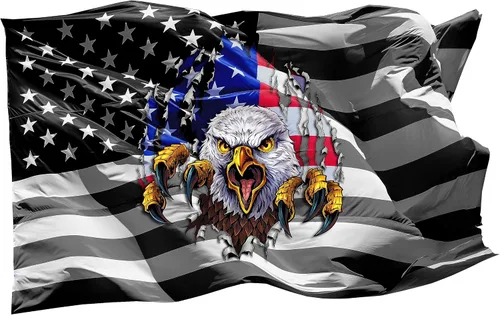 Vista 2 de Bandera estadounidense en blanco y negro con águila de color rasgado a través de la calcomanía (6 x 4 pulgadas)