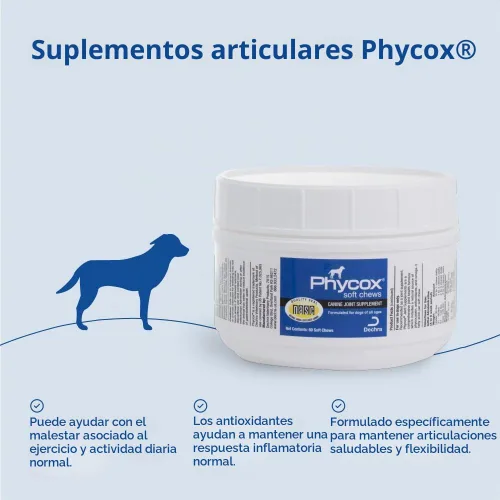 Vista 5 de Phycox® Suplemento para articulaciones masticables suaves para perros, 60 masticables