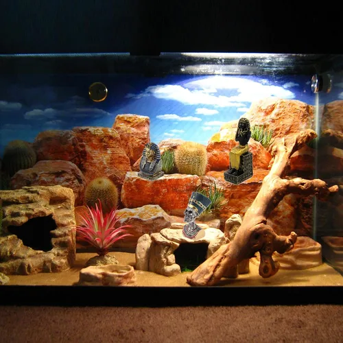 Vista 2 de Faraón del Antiguo Egipto para acuario, decoración de pecera, decoración (juego de 3) Esfinge, momia, sacerdote, cráneo, escultura, reptil, tortuga