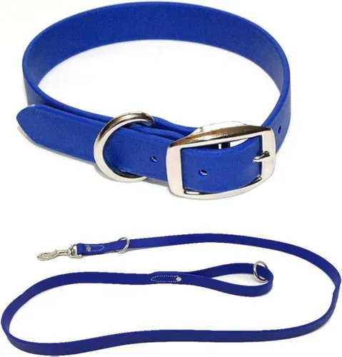 Vista 15 de Regal Dog Products Collar pequeño negro para perros con doble hebilla resistente y anillo en D Collar de perro ajustable de Biothane