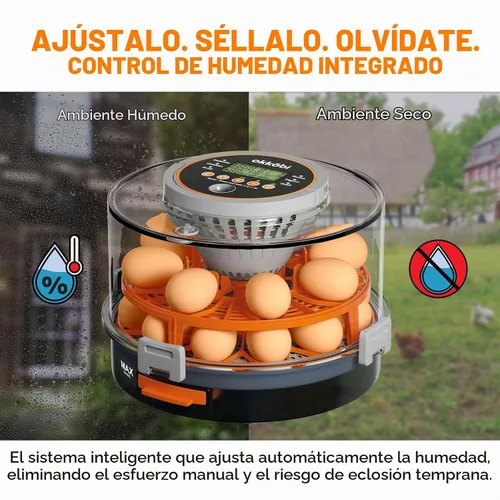 Vista 5 de Incubadora de huevos de capacidad 12-20 con torneado automático y vela