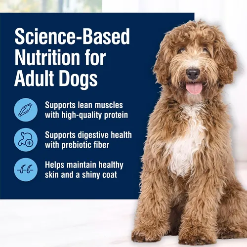 Vista 4 de Blue Buffalo True Solutions Total Support - Alimento seco natural para perros adultos, pollo, bolsa de 4 libras