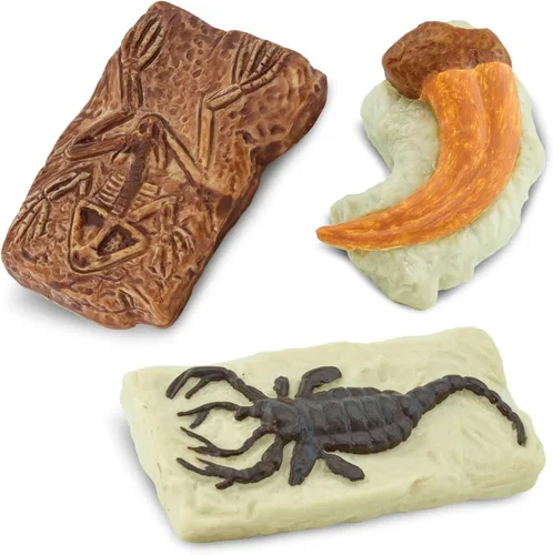 Vista 6 de Safari Ltd. Fósiles antiguos TOOB - Figurillas: huella de dinosaurio, cangrejo gigante, amonita, garra de raptor, diente de T-Rex, esqueleto