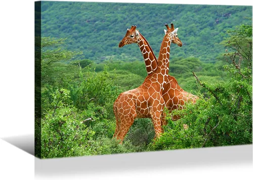 Vista 27 de YONICA Lienzo de pared de animales de la naturaleza, pintura de pared de águila, impresión artística de águila calva voladora impresa en lienzo