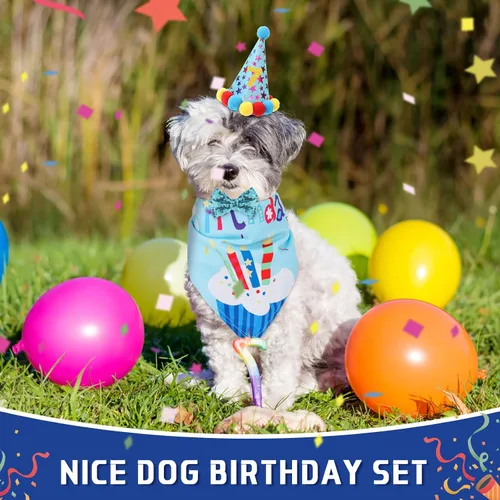Vista 2 de Weewooday Suministros para Fiesta de Cumpleaños de Perro, Pañuelo de Cumpleaños para Niño y Niña, Bufanda Triangular, Sombrero de Fiesta, Corbata