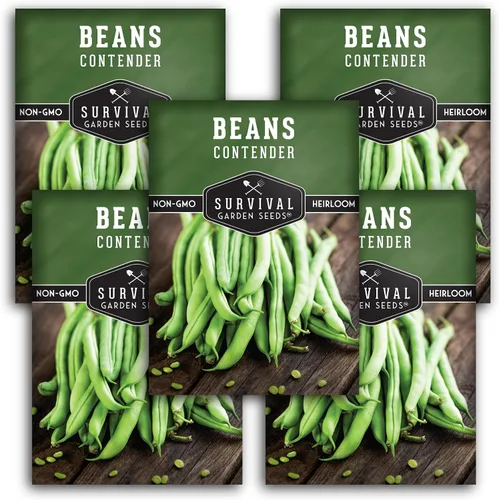 Vista 12 de 1 paquete de semillas de frijol Contender Bush para plantar con instrucciones para cultivar deliciosos judías verdes sin cuerda en tu huerto casero