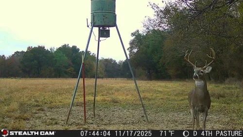 Vista 6 de Stealth Cam Revolver 2.0-360 grados cámara de rastreo celular - Paquete de 2