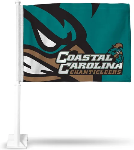 Vista 44 de Rico Industries Bandera de coche de doble cara de la NCAA, gran accesorio para automóvil