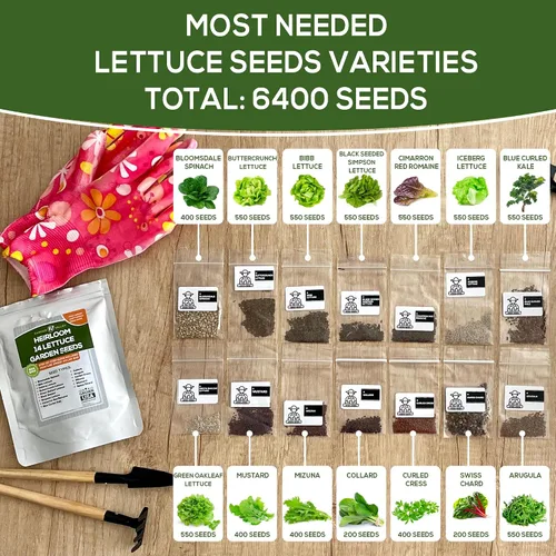 Vista 2 de Semillas de jardín de lechuga y ensalada para plantar, más de 6400 semillas de verduras cultivadas en Estados Unidos sin OMG para cultivo doméstico