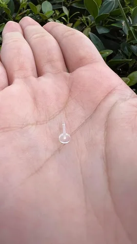 Vista 9 de Satix Retenedores de piercing transparentes de estilo mixto para cirugía de trabajo, retenedor de aretes transparente Bioflex, retenedor de anillos