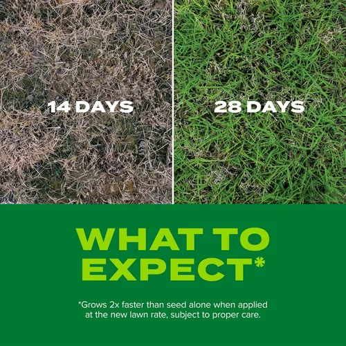 Vista 5 de Scotts Turf Builder Rapid Grass Bermudagrass, 1 libra Semilla de hierba con fertilizante para césped verde completo en condiciones difíciles
