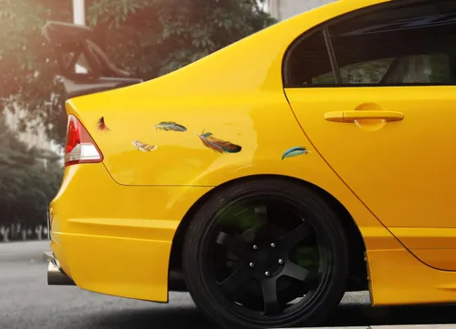 Vista 5 de Calcomanías de vinilo para automóvil, cubierta transparente de plumas de pájaro, impermeables, para parachoques de automóviles, motocicletas
