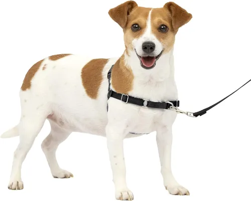 Vista 16 de PetSafe Easy Walk - Arnés para perro, sin tirones, gris carbón Carbón/Negro