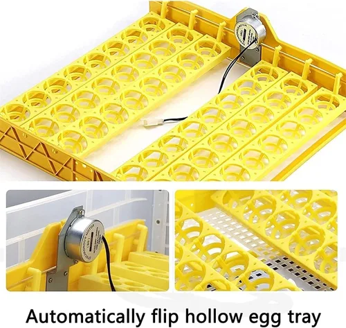 Vista 6 de Incubadora de huevos de 56 huevos de torneado automático de huevos Control automático de temperatura Control de ventilación rotativo automático