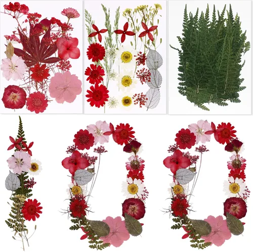 Vista 8 de BIHRTC 100 hojas secas prensadas naturales, hojas secas prensadas, girasoles, crisantemo, margaritas para manualidades, resina, joyería, fabricación