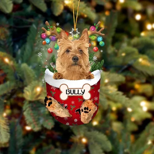 Vista 158 de IZI POD Affenpinscher Adorno de Navidad personalizado para perro, adorno de bolsillo de nieve para perro para árbol de Navidad, adorno acrílico