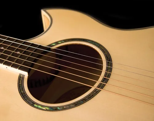 Vista 3 de Washburn Guitarra eléctrica acústica Festival EA20 (EA20-A)