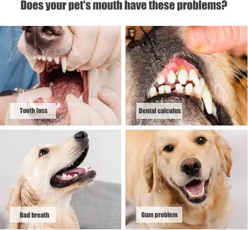 Vista 2 de Cepillo de dientes para perros, cepillo de dientes de 3 caras, 4 cepillos de dientes de triple cabeza para perros para el cuidado dental con cerdas