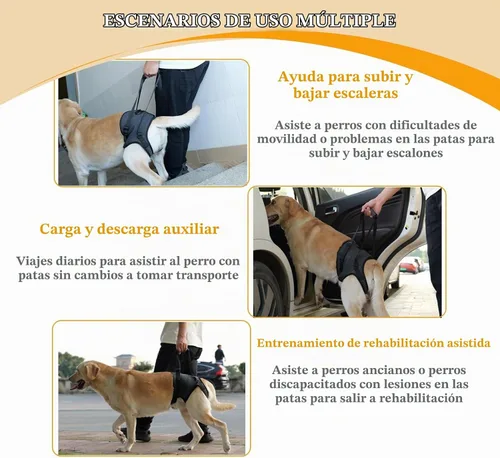 Vista 5 de Arneses tipo halter para perros, arnés de elevación ajustable para perros grandes, cabestrillo para perros medianos, soporte de pierna trasera