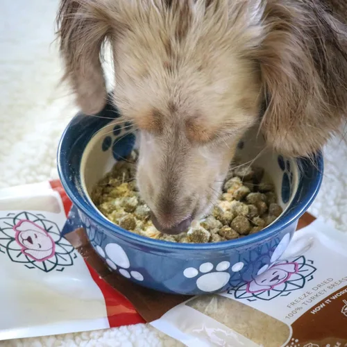 Vista 4 de HOLI Decoración de alimento para perros en polvo de hígado de res – Decoración de perro de hígado de res liofilizado para alimentos secos – Un solo