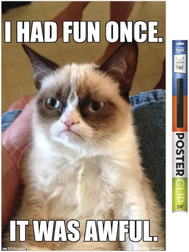 Vista 19 de Trends International Grumpy Cat - Póster de pared divertido, 22.375 x 34 pulgadas, versión enmarcada plateada Versión con marco plateado