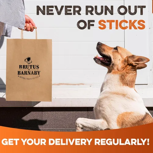Vista 7 de BRUTUS & BARNABY Bully Sticks para Perros, 6" – Bajo a Sin Olor, Alimentados con Pasto, Masticables Sin Cuero Crudo para Masticadores Agresivos
