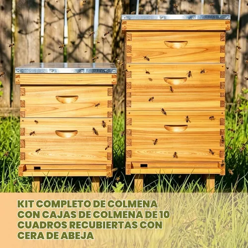 Vista 5 de Kit completo de colmena de abeja Langstroth de 10 marcos con revestimiento de cera de abeja, incluye marcos de colmena y hojas de base enceradas