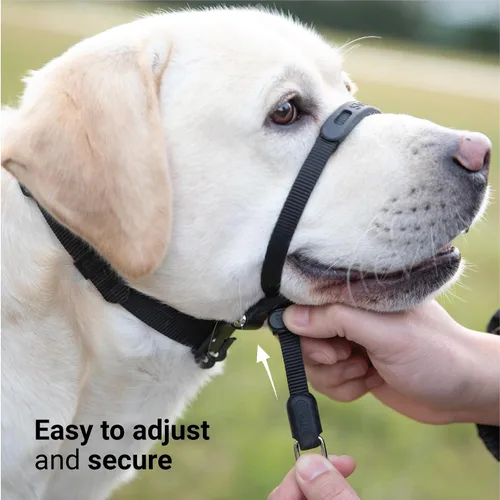 Vista 3 de SVD.PET Collar de cabeza de perro sin tirones para paseos más fáciles, protector a prueba de mordeduras para aumentar la comodidad, diseño simple