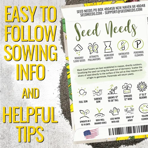 Vista 2 de Seed Needs - Semillas de flores para plantar Black Eyed Susan, paquete a granel de 1.5 onzas