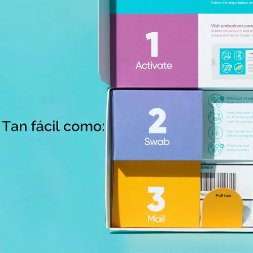 Vista 5 de Embark Prueba de ADN para perros de raza pura: más de 270 condiciones genéticas de salud, 55 rasgos físicos, coeficiente de endogamia (COI)