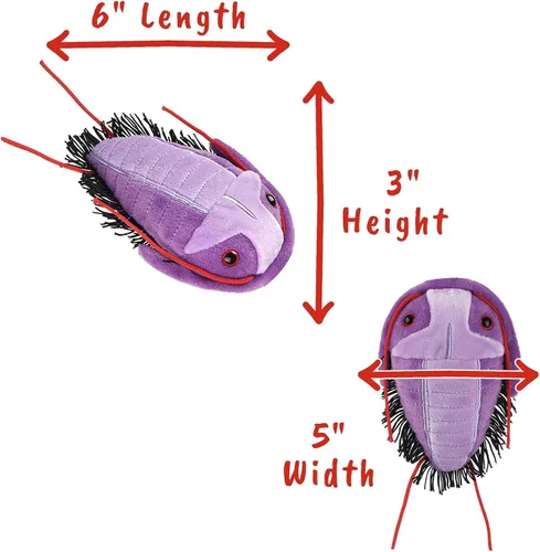 Vista 2 de GIANT MICROBES Fuzzy Fossils Trilobite Plush - Aprende sobre fósiles y criaturas prehistóricas, regalo único para familiares, amigos, científicos