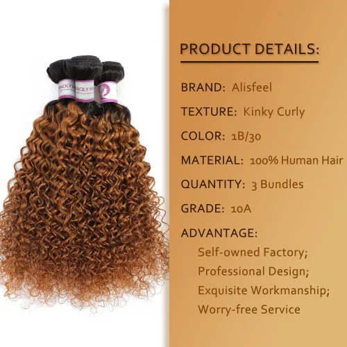 Vista 2 de Extensiones de cabello rizado brasileño ombré, 3 paquetes de extensiones de cabello humano 1B/30, paquetes de cabello humano rizado degradado