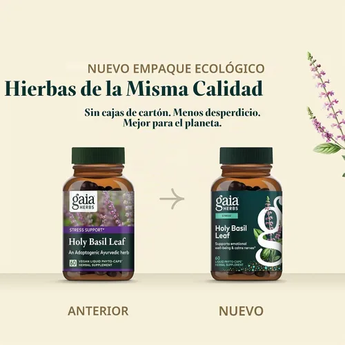 Vista 7 de Gaia Herbs Hoja de albahaca sagrada, 60 cápsulas veganas, 30 porciones