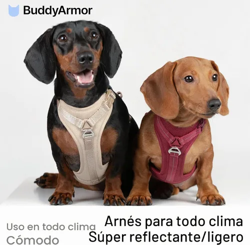 Vista 2 de Arnés reflectante para perro para todo tipo de clima, sin tirones, con código QR, antipérdida, ajustable, de liberación rápida, arnés acolchado