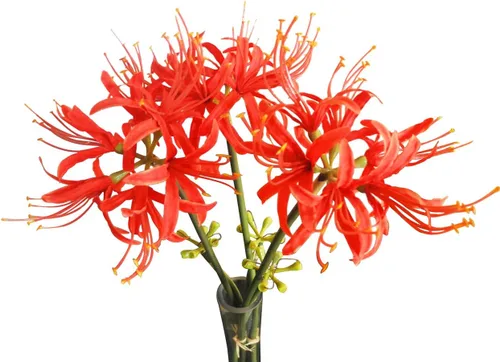 Vista 4 de Calcifer 3 tallos de lirios de araña roja, flores artificiales, bulbos de Lycoris (rojo)