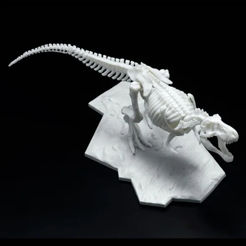 Vista 5 de Bandai Hobby - Tyrannosaurus, Bandai Spirits Limex Skeleton Dinosaur Model Kit